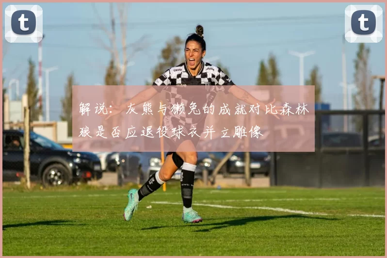 解说：灰熊与獭兔的成就对比森林狼是否应退役球衣并立雕像